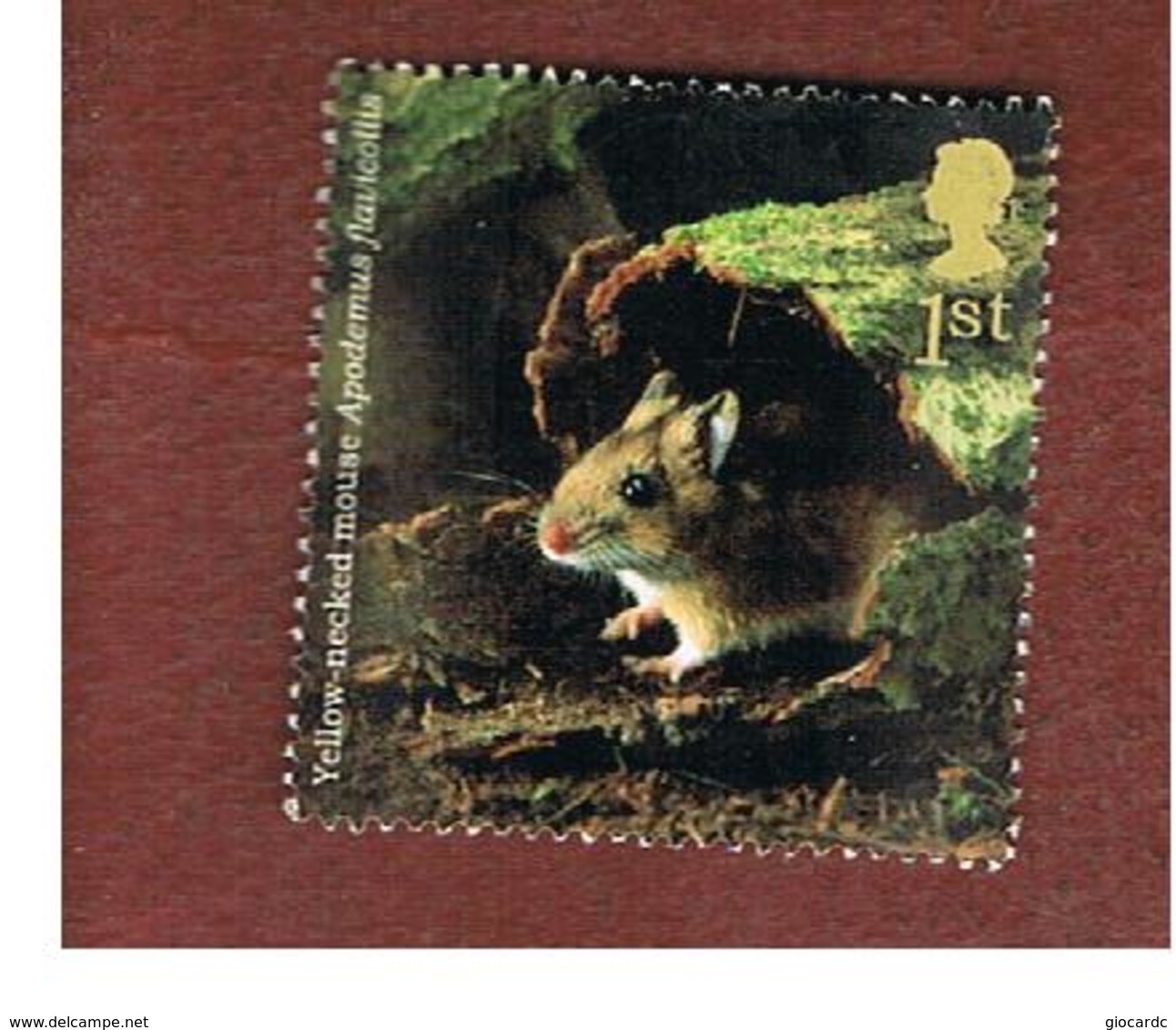 GRAN BRETAGNA.GREAT BRITAIN -  SG 2482  -  2004 ANIMALS: APODEMUS FLAVICOLLIS   - USED - Usati