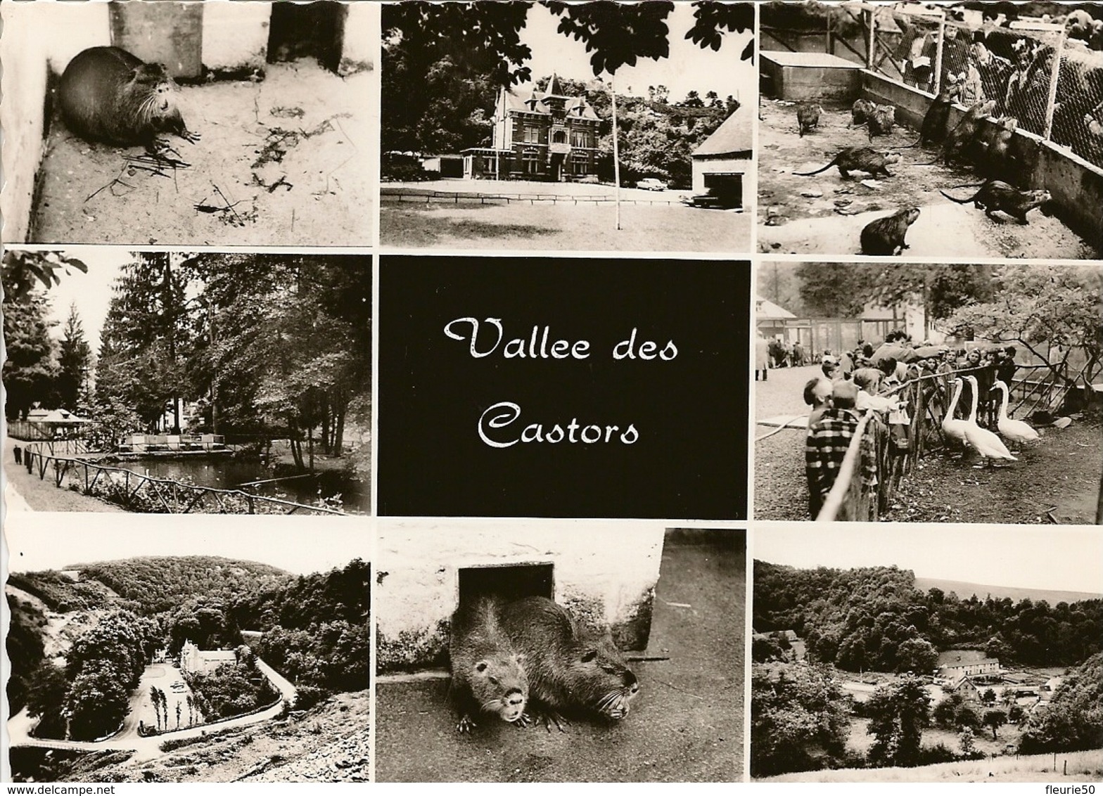 MAIZERET. Elevage De Castors Du Château De Vil En Val, Parc D'attractions, Terrasses, Restaurant. - Andenne