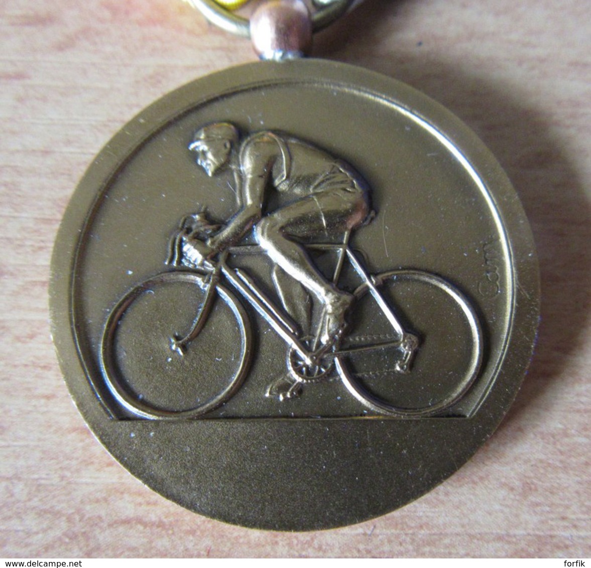 Cyclisme - Médaille De La Reconnaissance - F.F.C Comité Poitou Charente - Bronze - Signée CAM. - Superbe - Cyclisme