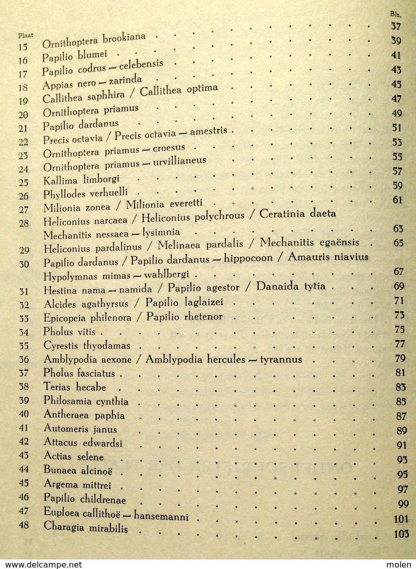 CHROMO-ALBUM DE WONDERWERELD DER TROPISCHE VLINDERS * ARTIS VLINDER PAPILLON BUTTERFLY Prentenboek Plaatjes BOEK Z743 - Albums & Catalogues