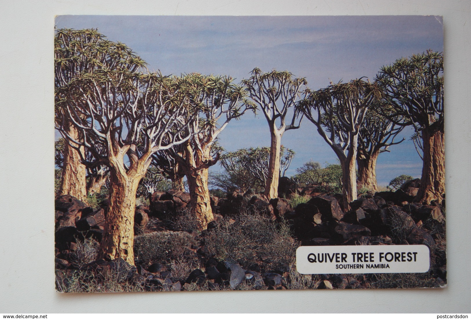 AFRICA-NAMIBIA: QUIVER TREE FOREST. SOUTHERN NAMIBIA - Old Postcard - Uganda Stamp - Namibie