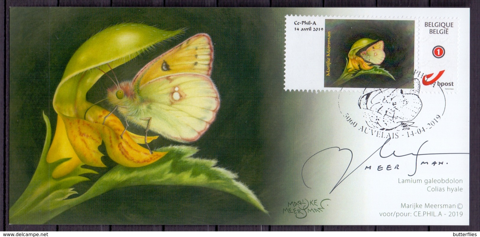 Belgie - 2019 -** Max. Kaart - Auvelais -14 - 4 - 2019 - Gele Luzerne Vlinder - Met Handtekening ** M.Meersman - 2011-..