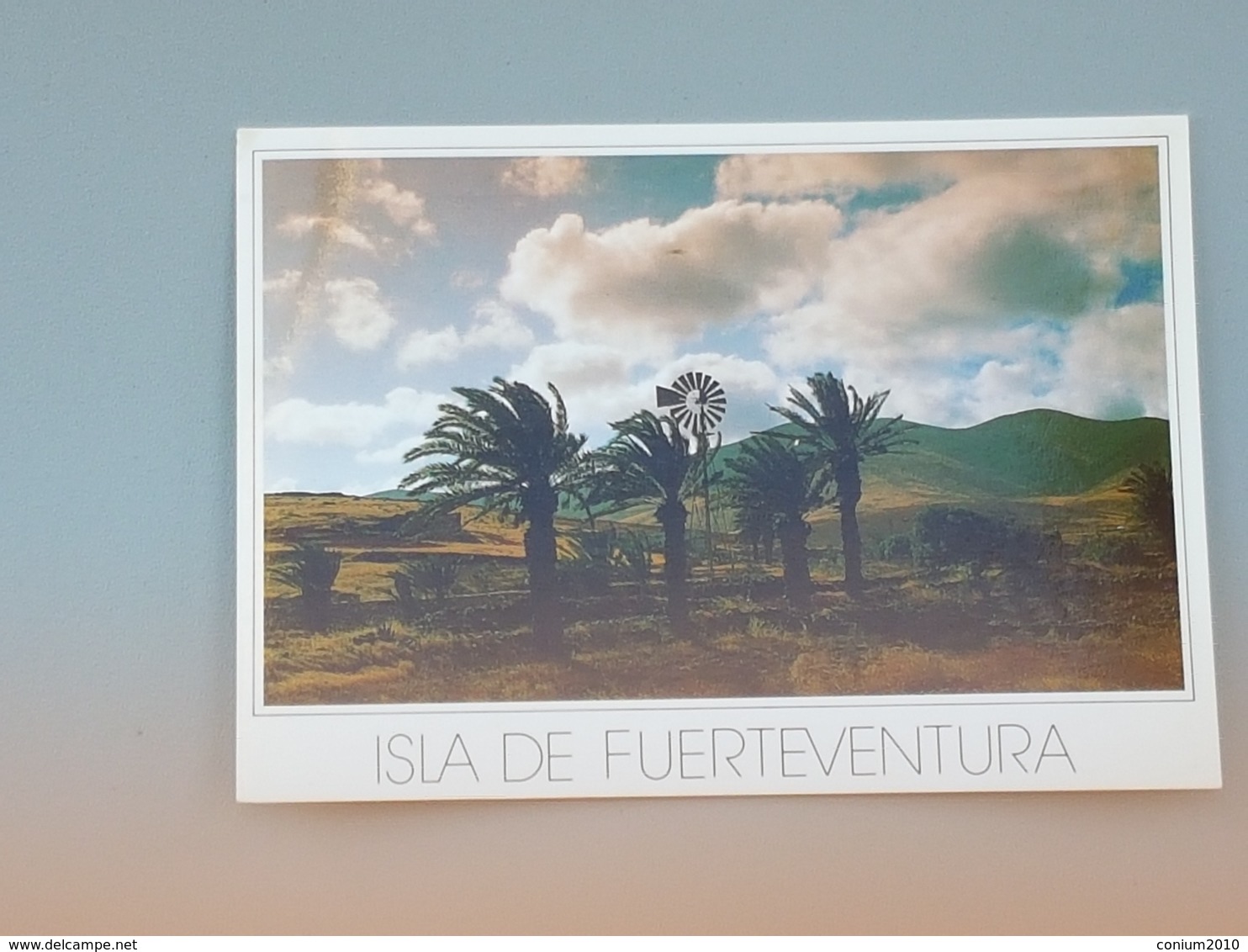 Kanaren, Fuerteventura, Tiscamanita (gelaufen 199?); H26 - Fuerteventura