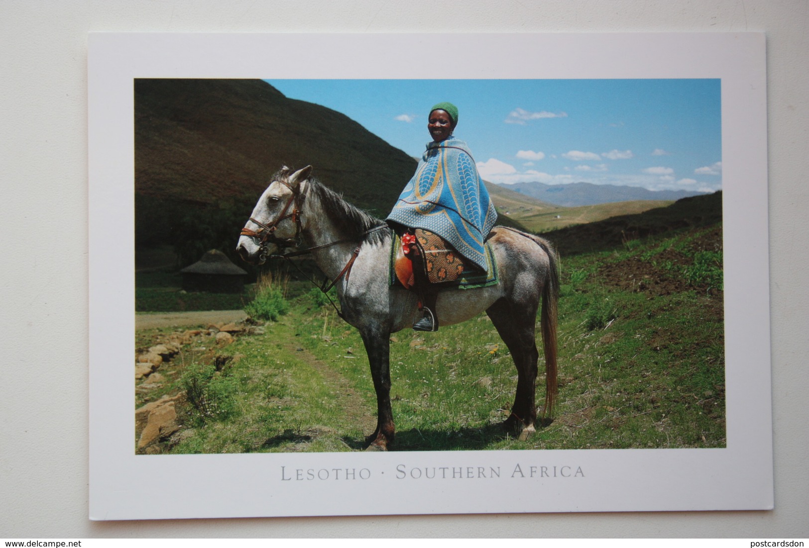 Basotho Horse - Lesotho - Lesotho