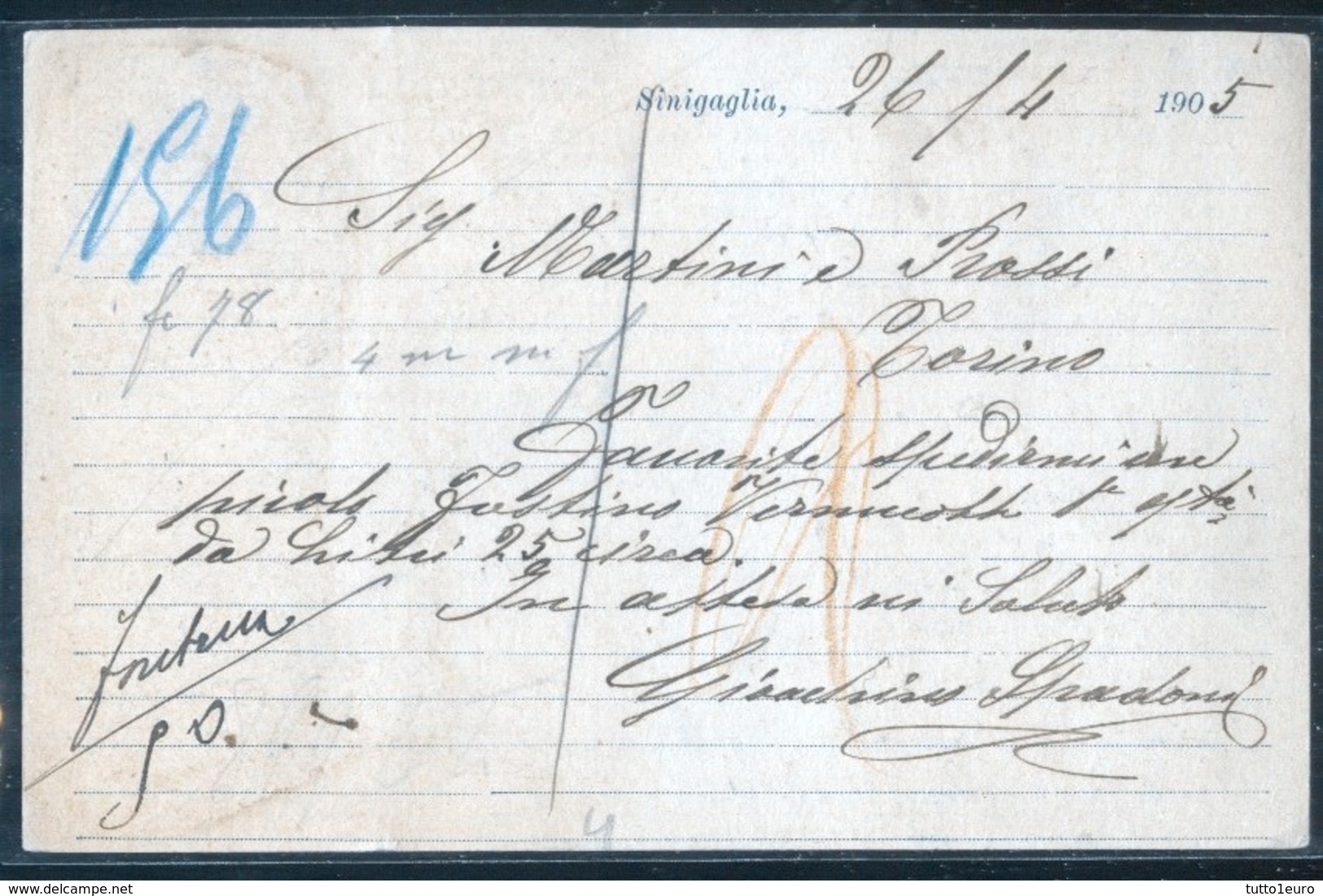 SENIGALLIA - ANCONA - 1905 - CARTOLINA COMMERCIALE - SPADONI PANIFICIO SALSAMENTERIA - Negozi