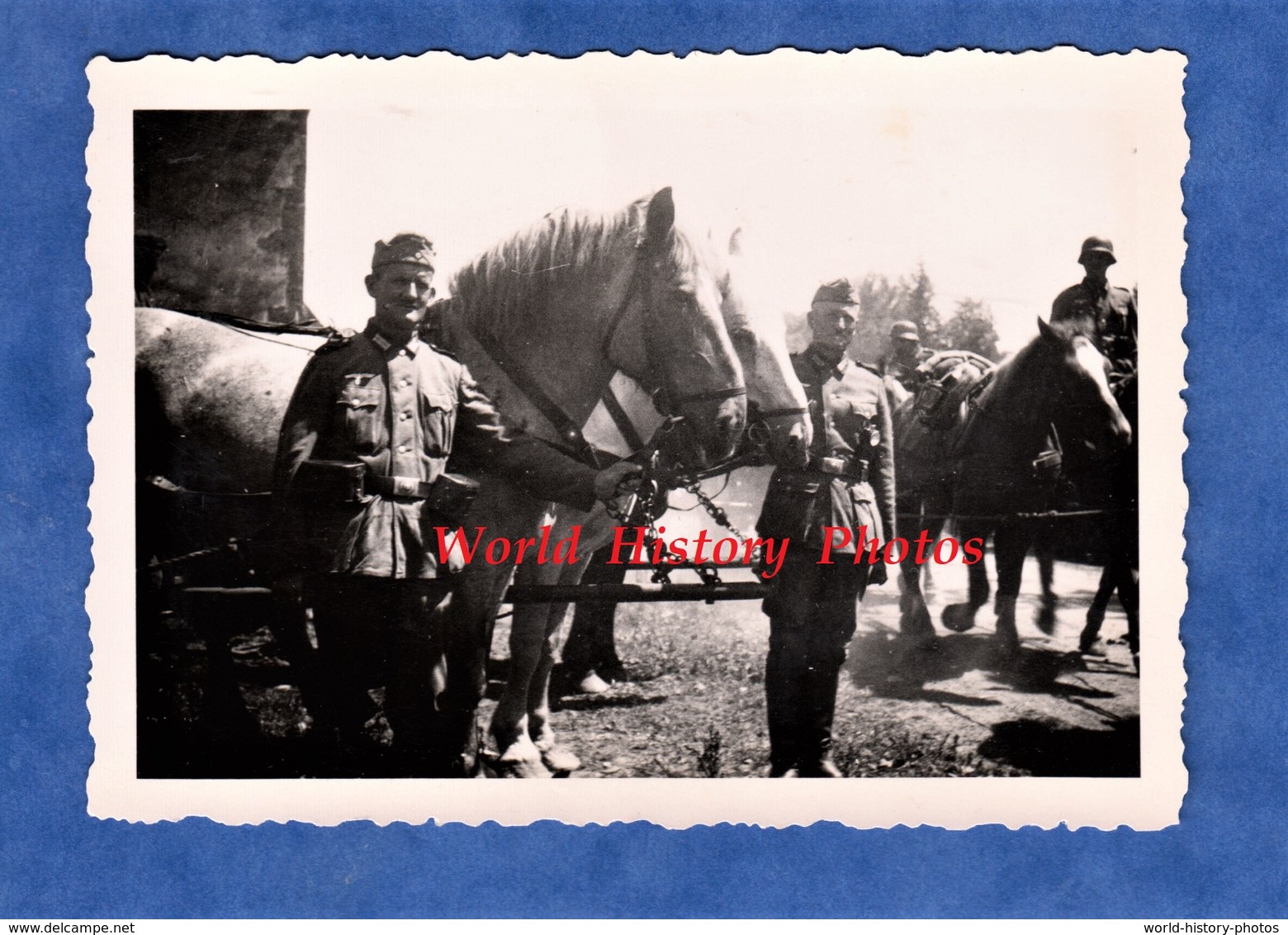 Photo Ancienne D'un Soldat Allemand - Portrait De Militaire & Chevaux D'un Attelage - WW2 Occupation German Soldier - Guerre, Militaire