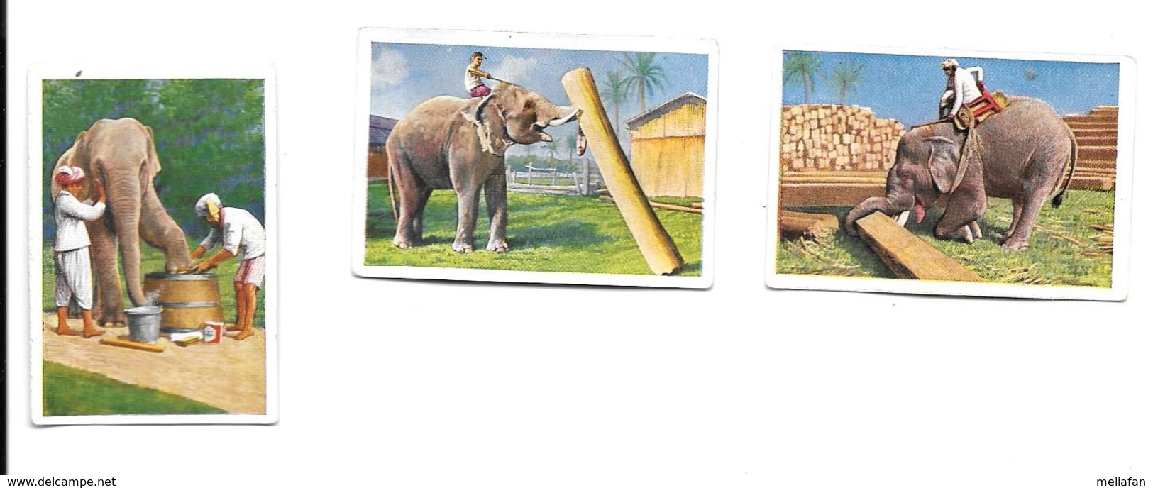 BP76 - IMAGES CIGARETTES SALEM - TRAVAIL DES ELEPHANTS - Other Brands