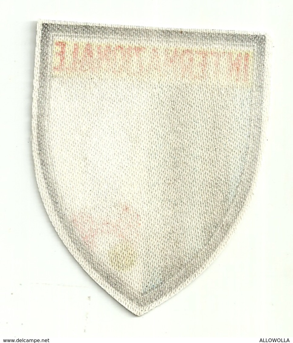 3370 " INTERNAZIONALE-COPPA DEI CAMPIONI-VIENNA 1964 " TOPPA - PATCH -CALCIO - ORIGINALE - Scudetti In Tela