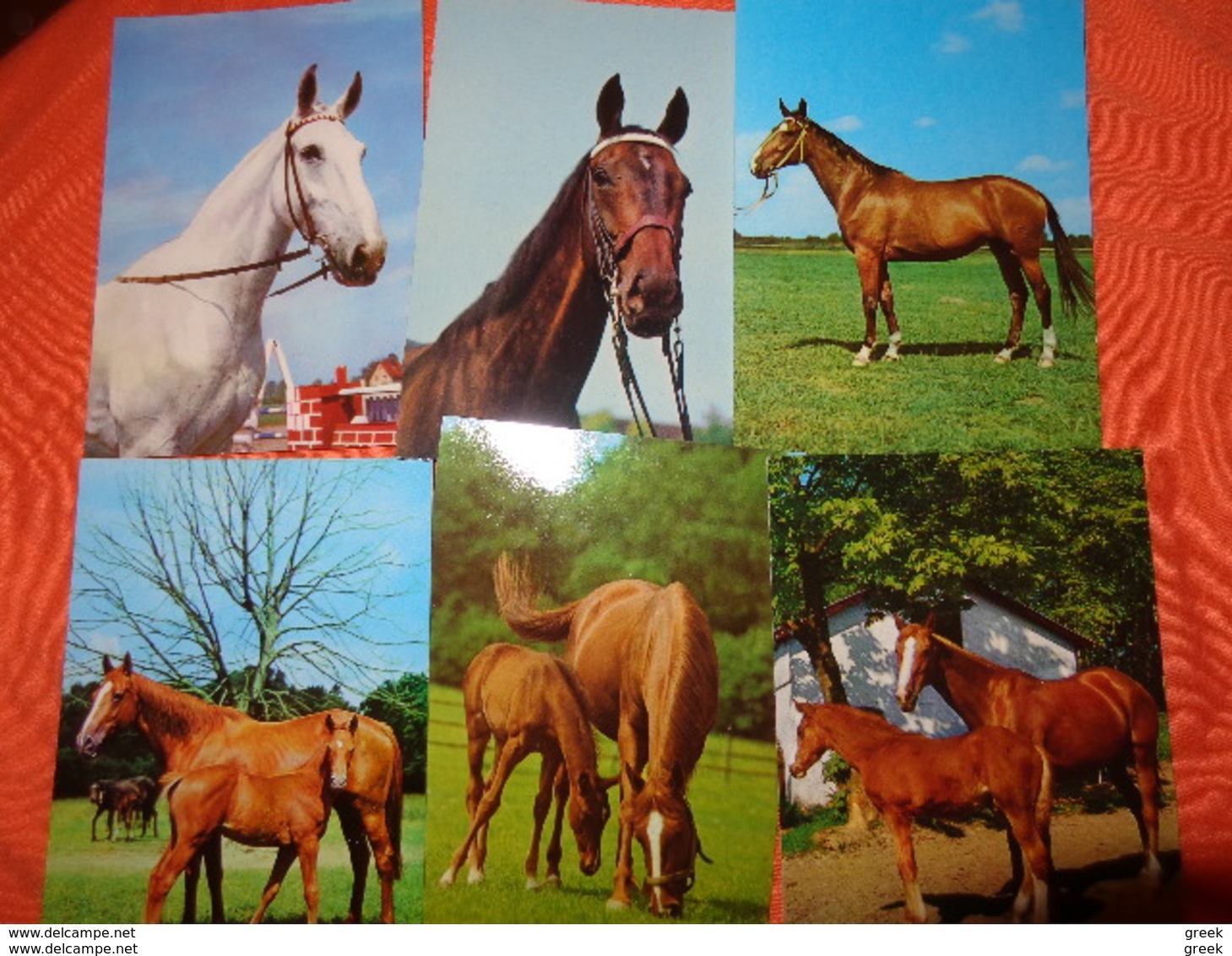 89 kaarten met PAARDEN - HORSES - CHEVAUX (zie foto's)