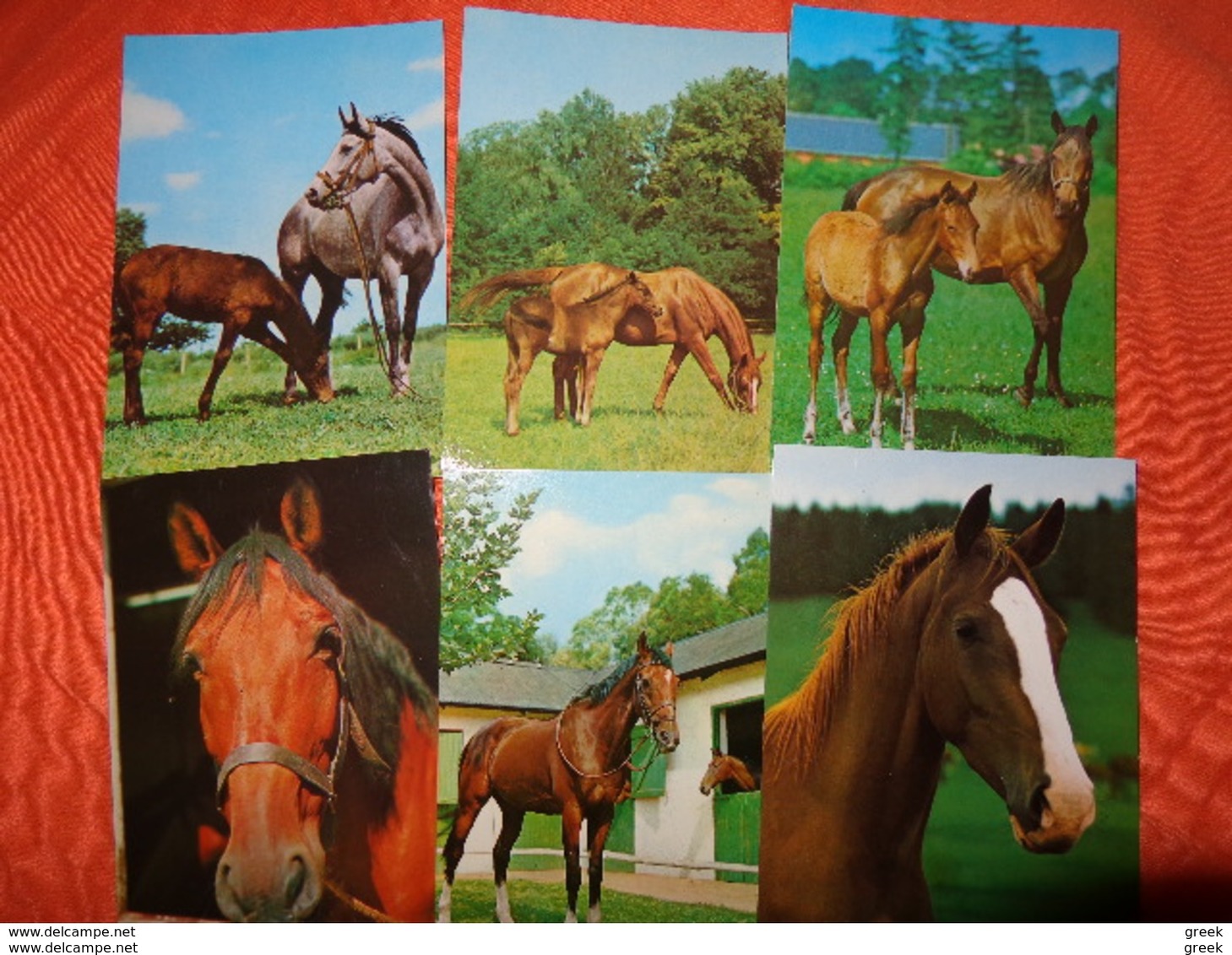 89 kaarten met PAARDEN - HORSES - CHEVAUX (zie foto's)