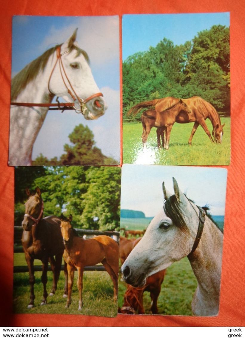 89 kaarten met PAARDEN - HORSES - CHEVAUX (zie foto's)