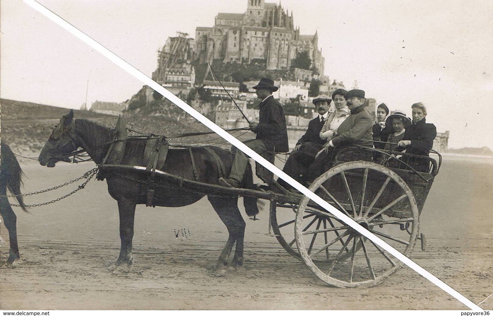 Le Mont Saint Michel (Manche) - Carte Photo De Touristes En Calèche Dans La Baie à Marée Basse - Animée - Le Mont Saint Michel