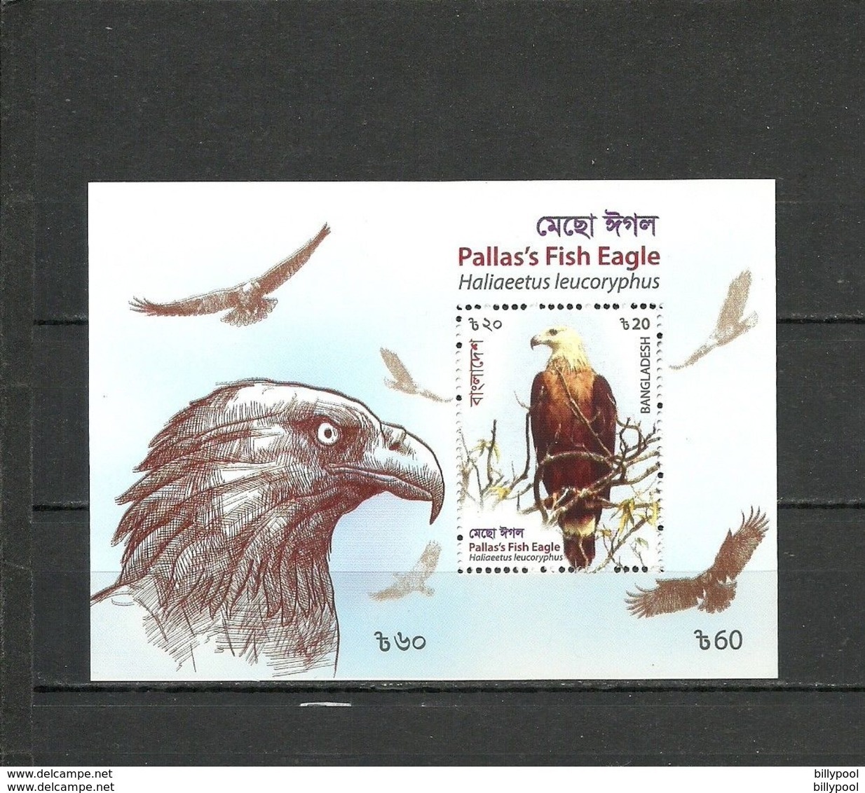 BANGLADESH 2018 Birds Of Prey, Fish Eagle SS Perf. MNH - Adler & Greifvögel