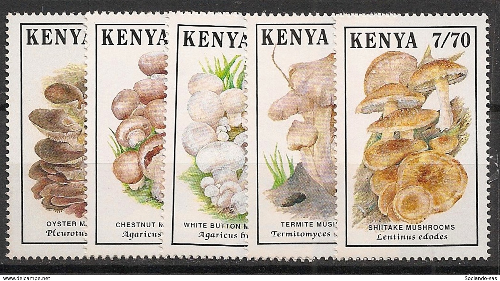 Kenya - 1989 - N°Yv. 478 à 482 - Champignons - Neuf Luxe ** / MNH / Postfrisch - Kenya (1963-...)