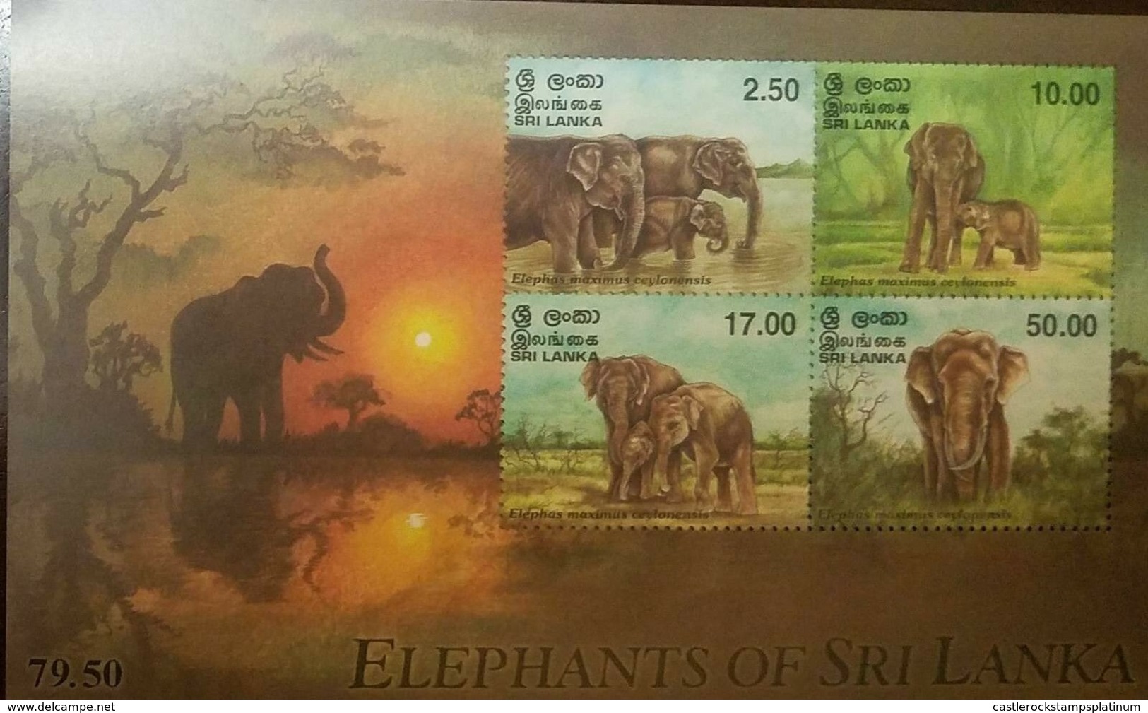 R​O) 1998 SRI LANKA, ELEPHANT-ELEPHAS MAXIMUS CEYLONENSIS-WADING IN LAKE-FEMALE CALF-THREE STADING IN PLAINS-LARGE BULL, - Sri Lanka (Ceylon) (1948-...)