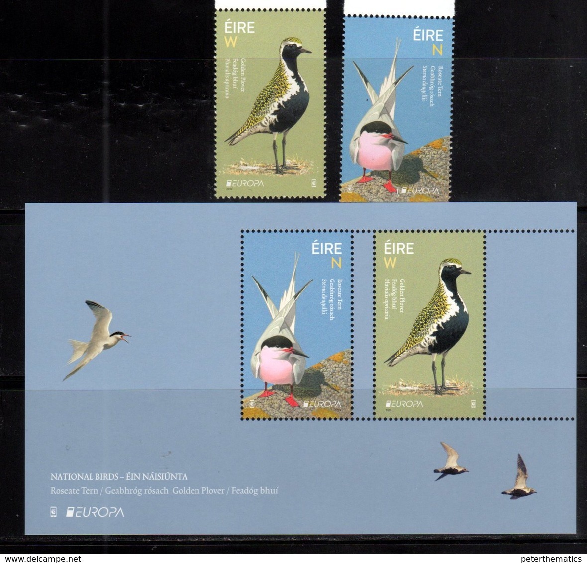 IRELAND, 2019, MNH, EUROPA, BIRDS, 2v+S/SHEET - 2019