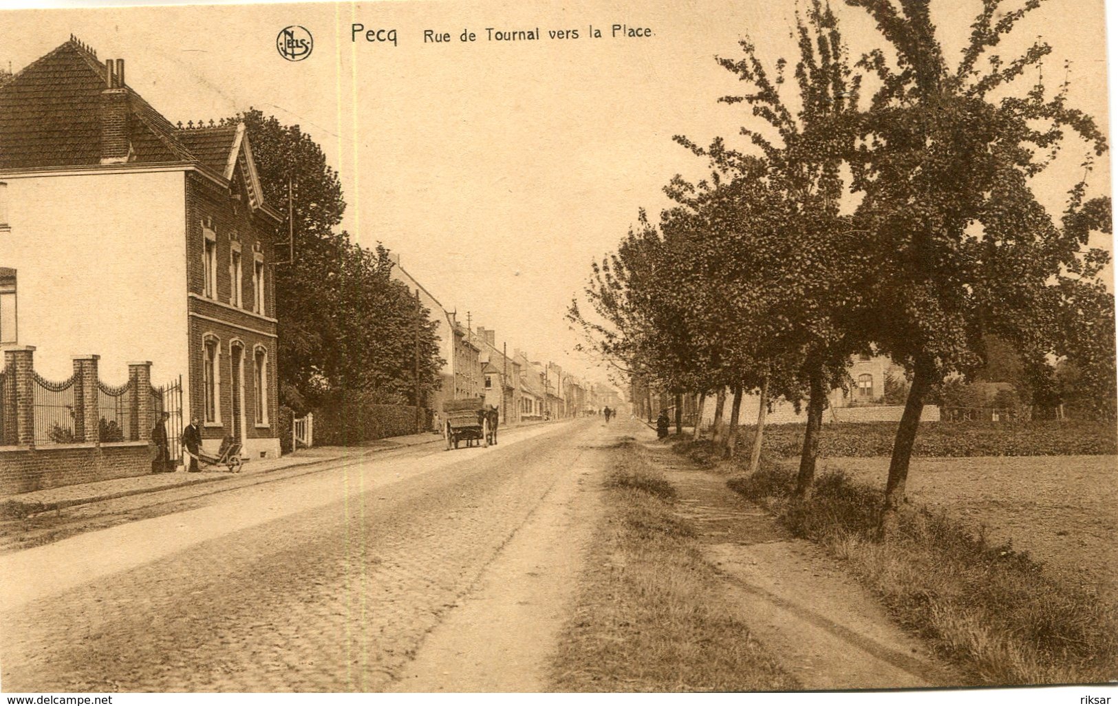 BELGIQUE(PECQ) ARBRE - Pecq