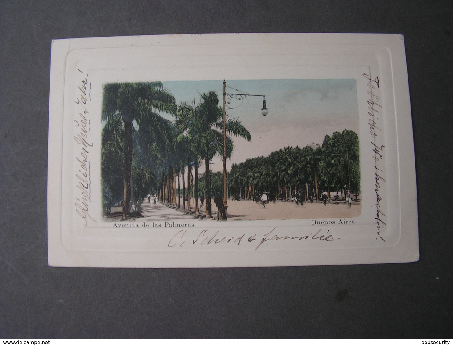 Argentina Karte 1902 Avenida Palmeras - Covers & Documents