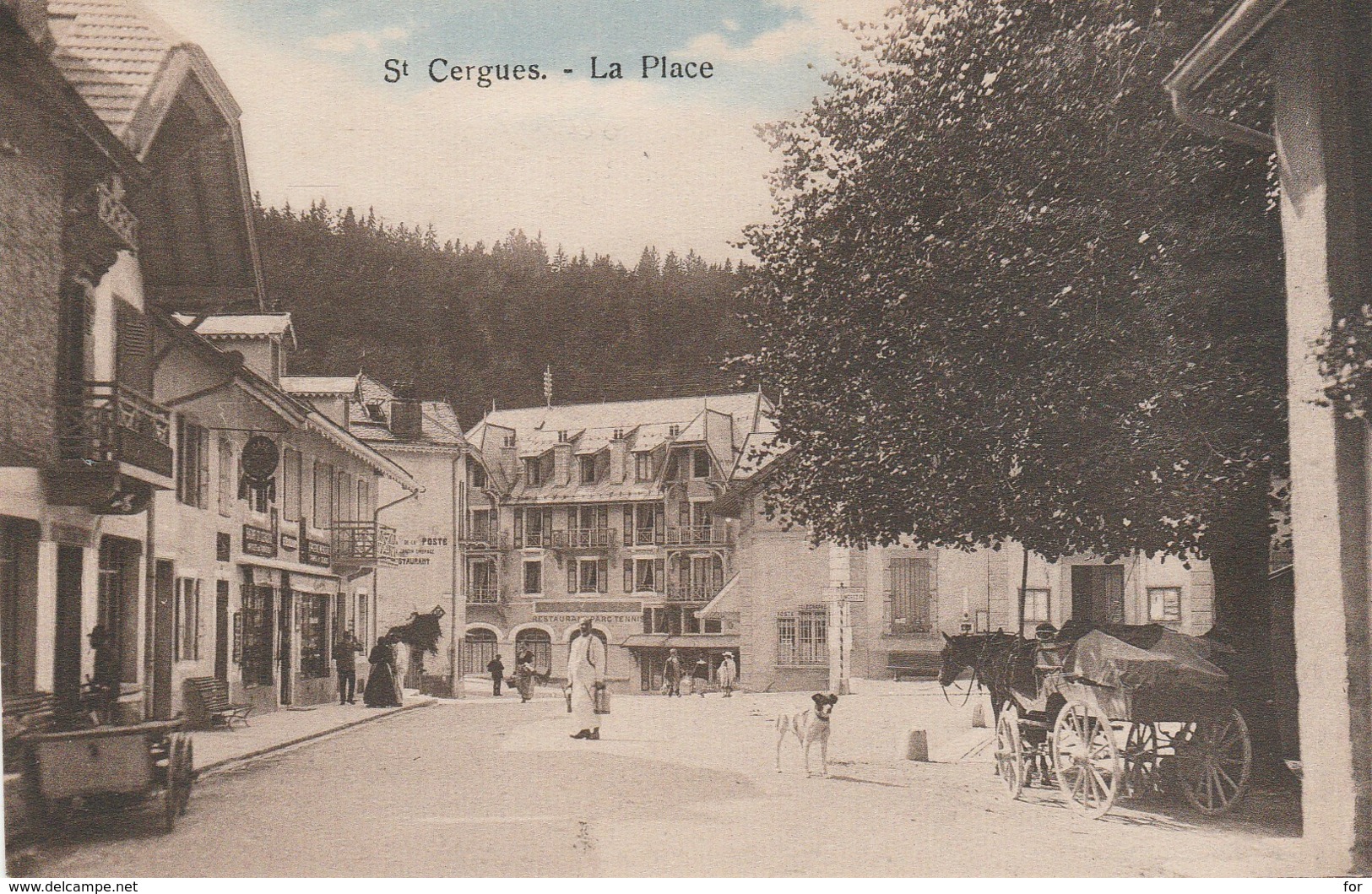 Suisse : SAINT-CERGUE : La Place - Avec Attelage Cheval ( Colorisée ) - Saint-Cergue