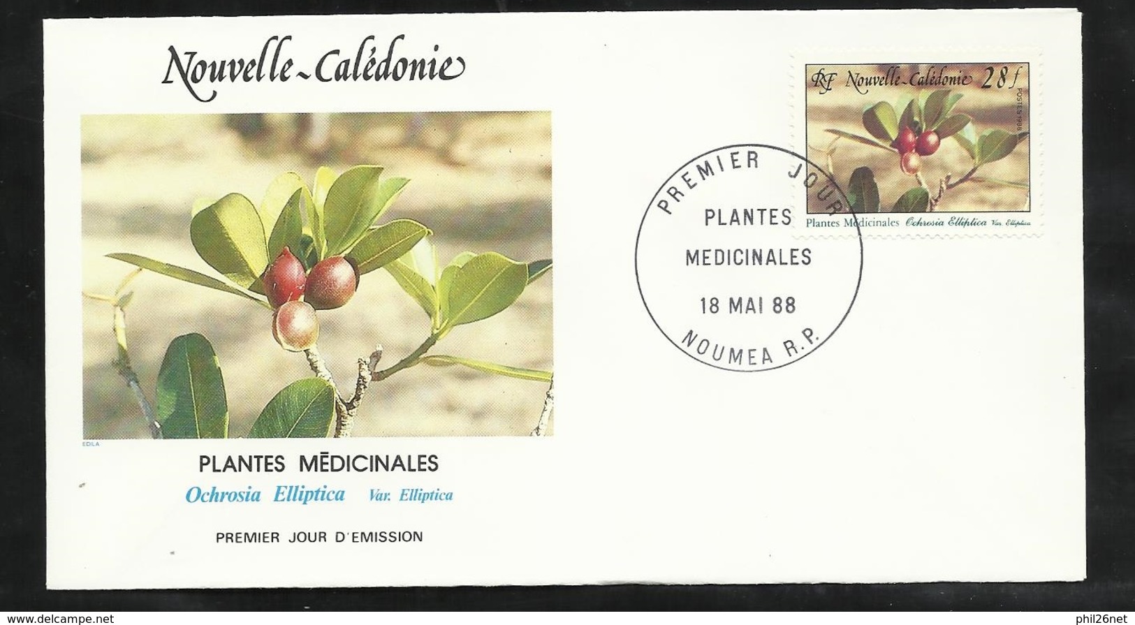 N.C.   Lettre Premier Jour Nouméa Le 18/05/1988 N° 556   Plantes Médicinales Ochrosia Elliptica   TB   ! ! ! - Farmacia