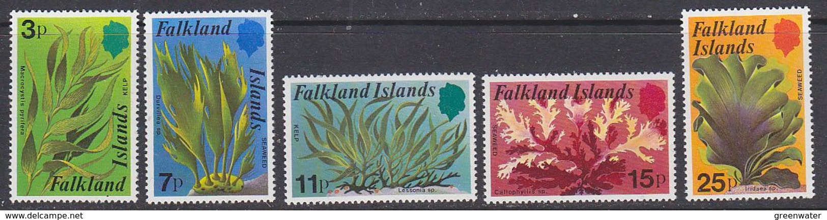 Falkland Islands 1979 Kelp/Seaweed 5v ** Mnh (42489C) - Falklandeilanden
