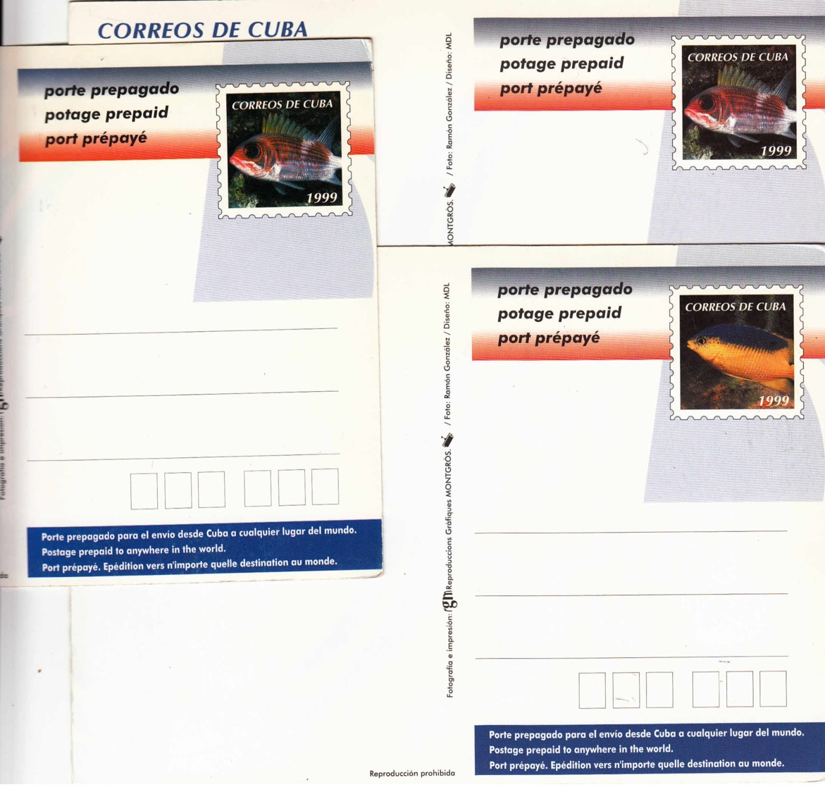 CUBA - 1999 - Lot De 3 Entiers Postaux Neufs - Cocotiers - Lettres & Documents