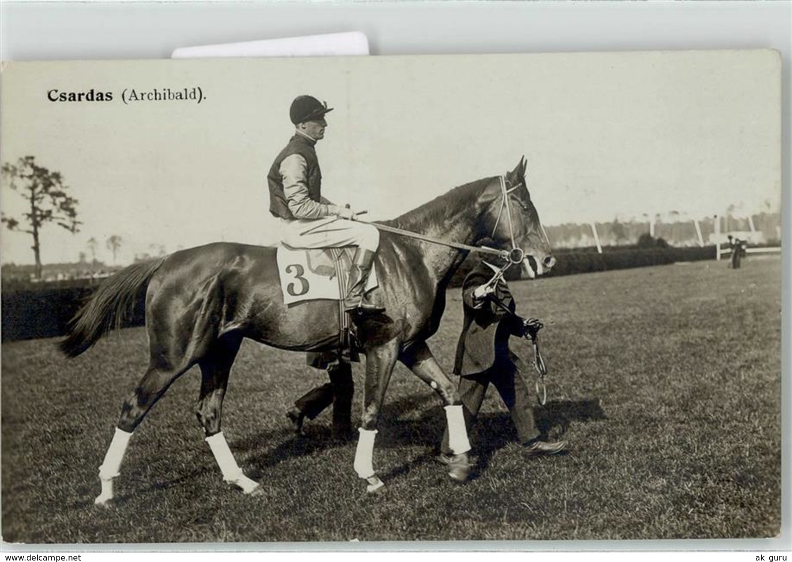 52133969 - Pferdesport Csardas (Archibald) Nr. 3 Jockey - Pferde