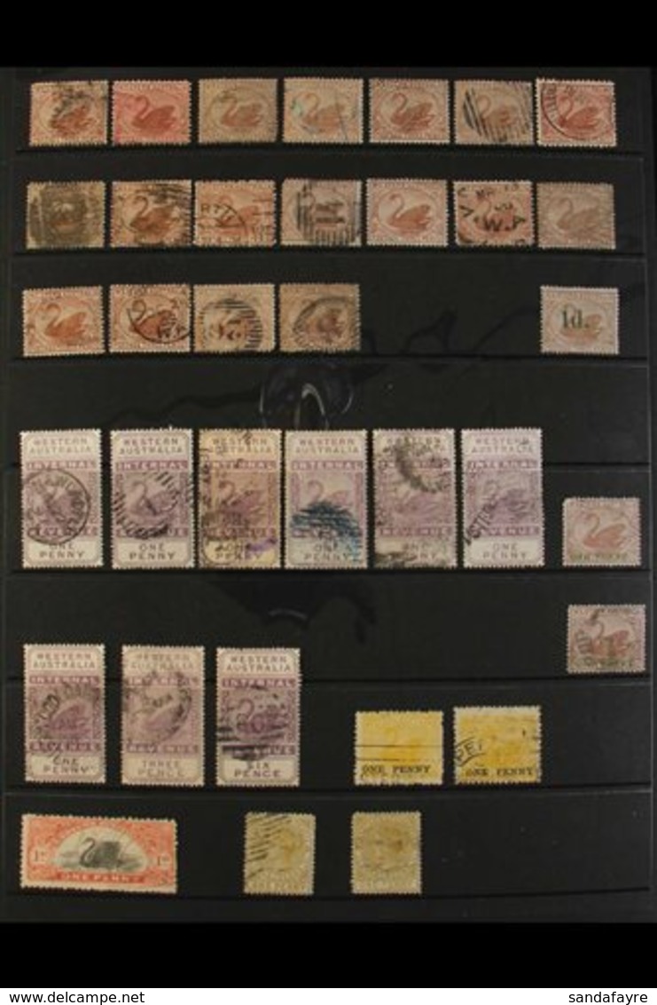 WESTERN AUSTRALIA  1871-1912 Used Accumulation Generally Arranged By Denomination Or Issue, Includes A Good Range Of Val - Other & Unclassified