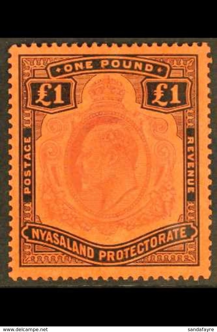 1908  £1 Purple And Black On Red, Ed VII, SG 81, Very Fine Mint. For More Images, Please Visit Http://www.sandafayre.com - Nyasaland (1907-1953)