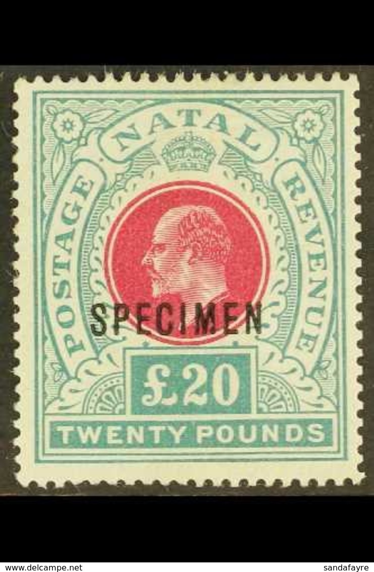 NATAL  1902 £20 Red And Green, Ed VII, Ovptd "Specimen", SG 145bs, Very Fine Mint, Large Part Og. For More Images, Pleas - Unclassified