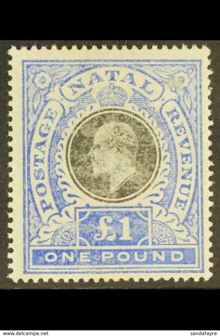 NATAL  1902 £1 Black And Bright Blue, SG 142, Mint. Rubbed Surface But Still A Reasonable Copy. Cat £350 For More Images - Unclassified