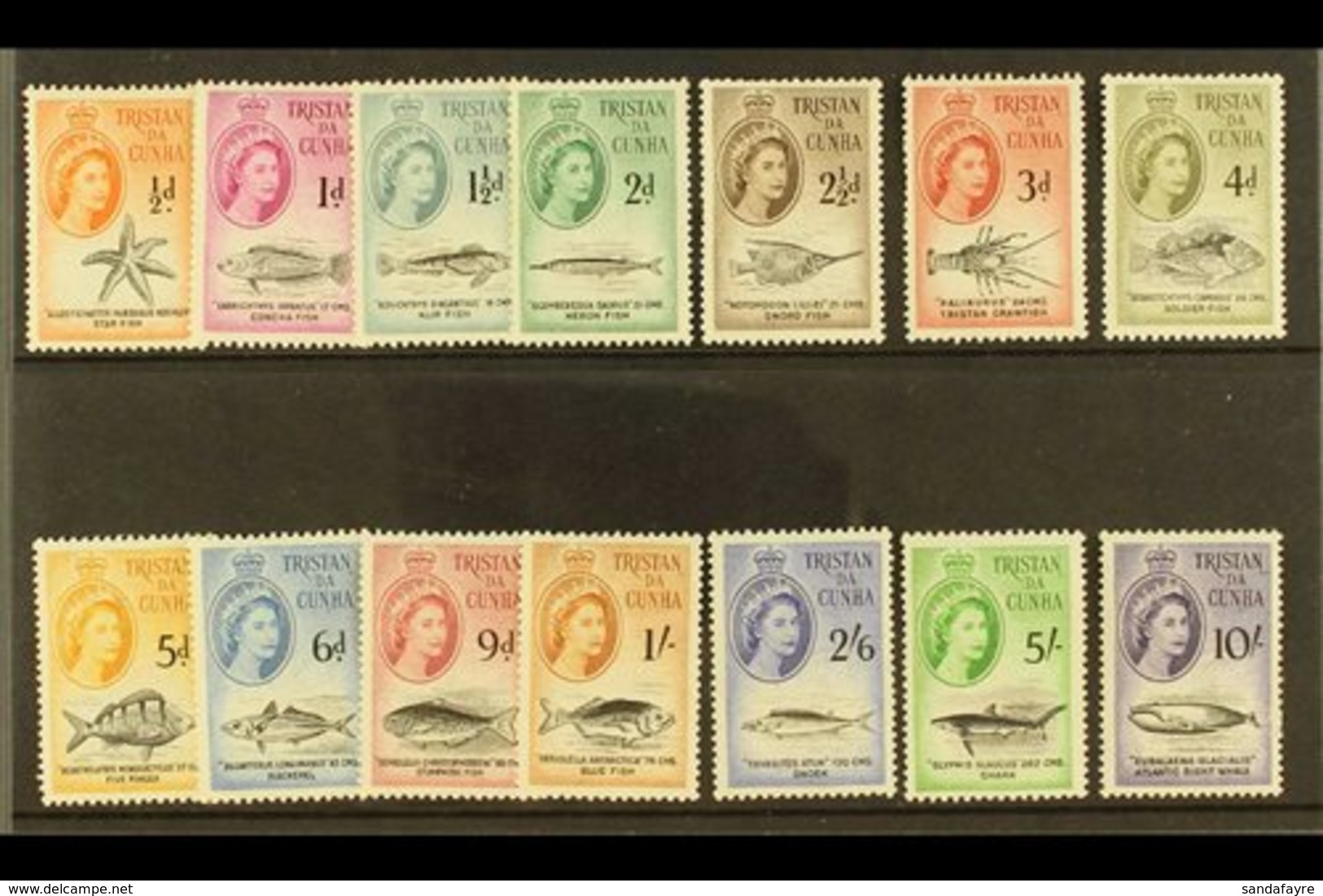 1960  Marine Life Definitive Set, SG 28/41, Never Hinged Mint (14 Stamps) For More Images, Please Visit Http://www.sanda - Tristan Da Cunha