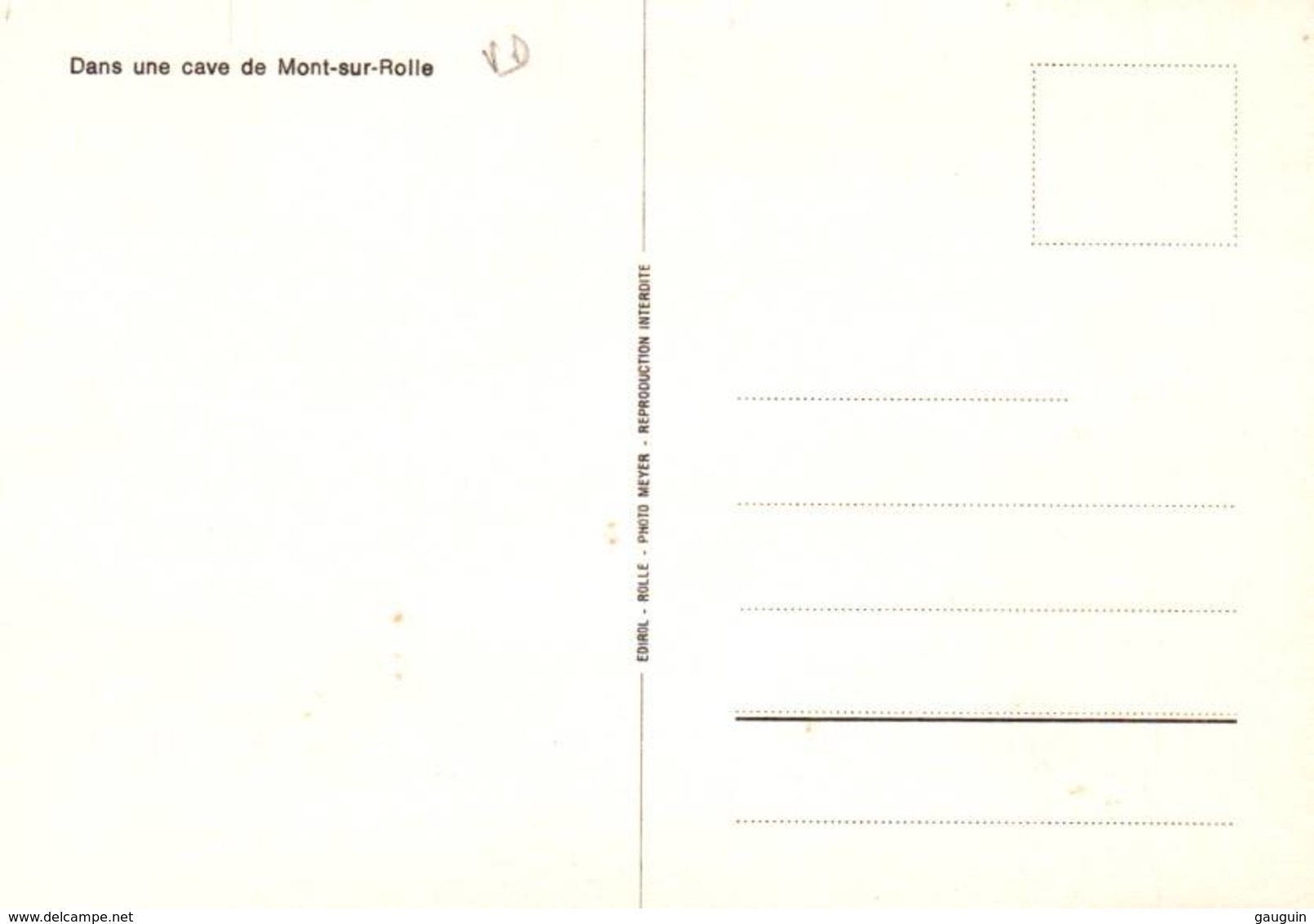 CPM - MONT S/ROLLE - Cave - Mont-sur-Rolle 