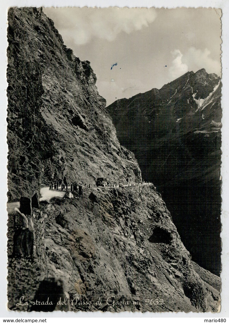 PONTE DI LEGNO    LA  STRADA  DEL  PASSO  GAVIA      (VIAGGIATA) - Altri & Non Classificati