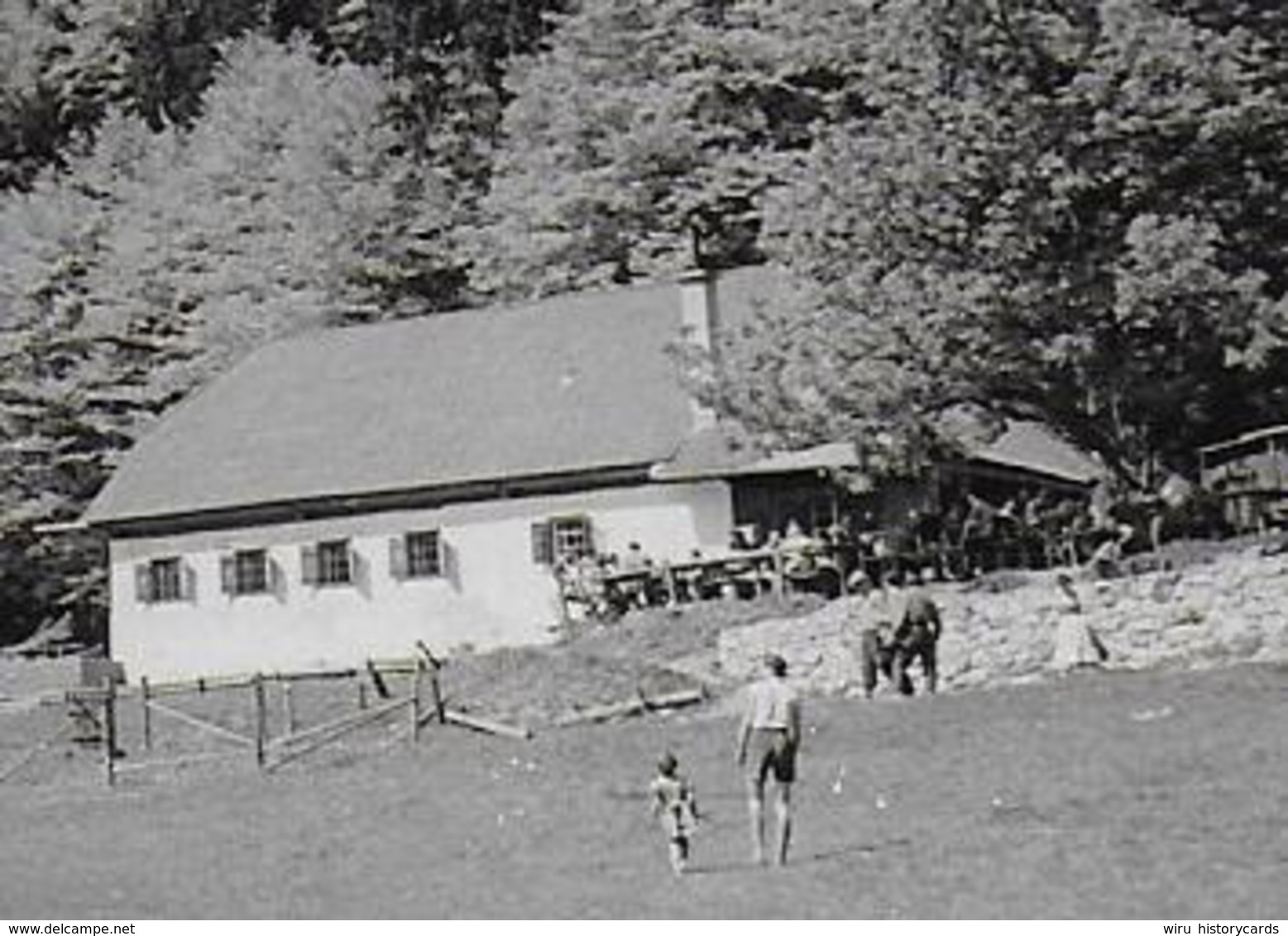 AK 0222  Laudachsee-Alm Bei Gmunden Mit Traunstein Um 1950-60 - Gmunden