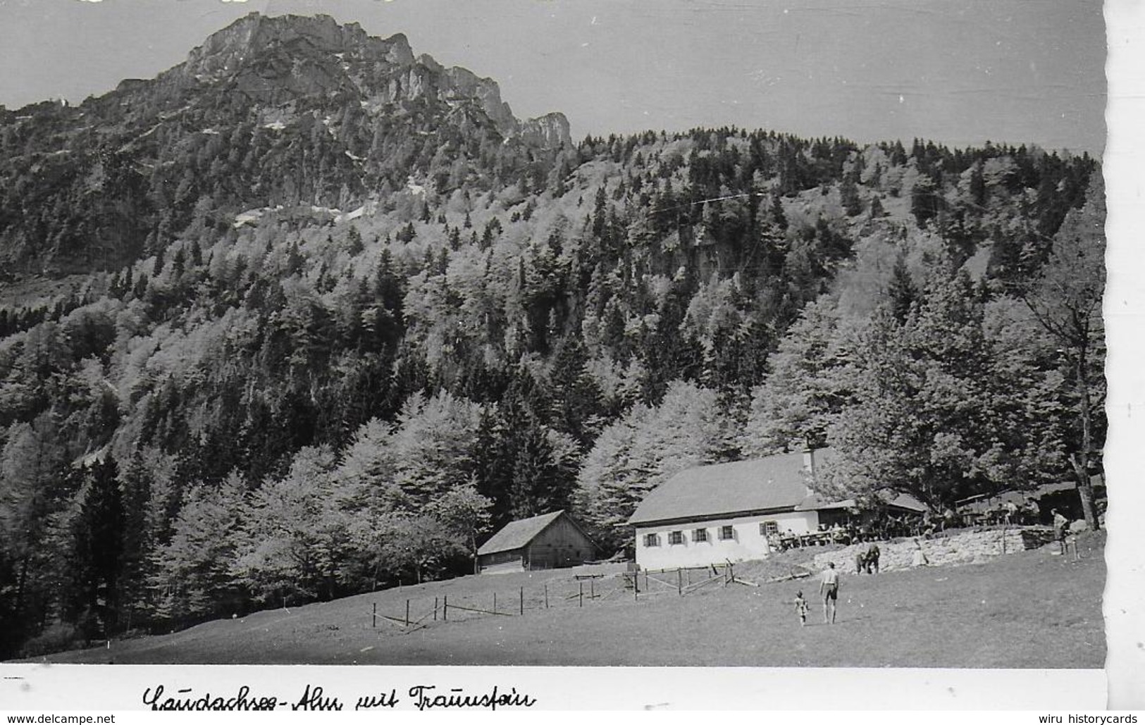 AK 0222  Laudachsee-Alm Bei Gmunden Mit Traunstein Um 1950-60 - Gmunden