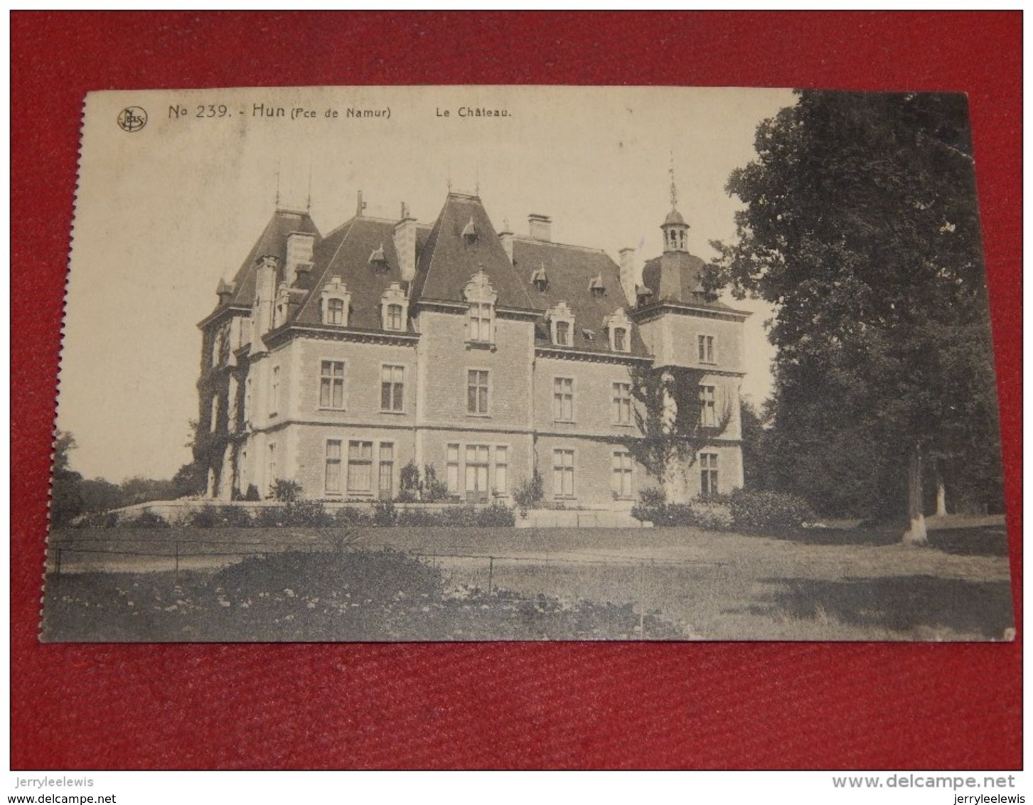 HUN  -  ANHEE   -   Le  Château   -   1920   - - Anhée