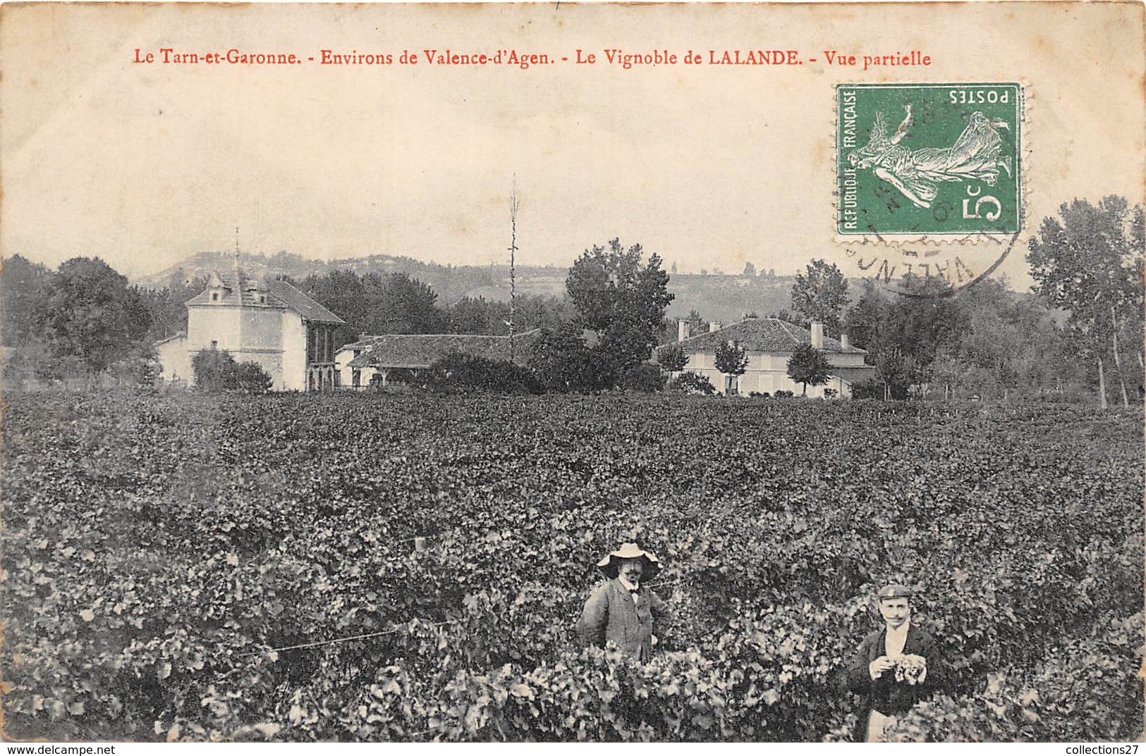 82-ENVIRONS DE VALENCE-D'AGEN- LE VIGNOBLE DE LALANDE- VUE PARTIELLE - Autres & Non Classés