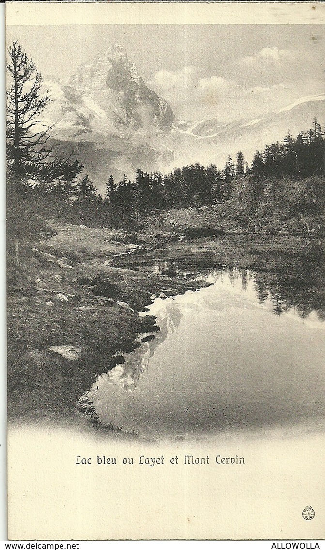 3379 "SOUVENIR DE VALTOURNANCE ET SA VALLEE" FOTOCARTOLINE ORIGINALI - Autres & Non Classés