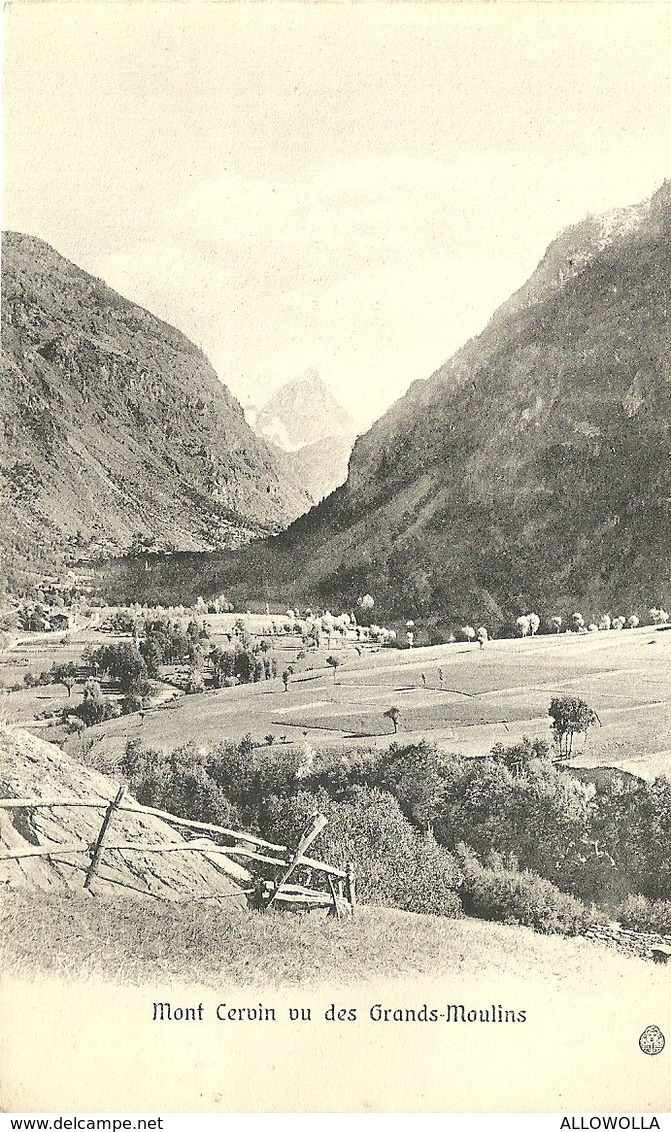 3379 "SOUVENIR DE VALTOURNANCE ET SA VALLEE" FOTOCARTOLINE ORIGINALI