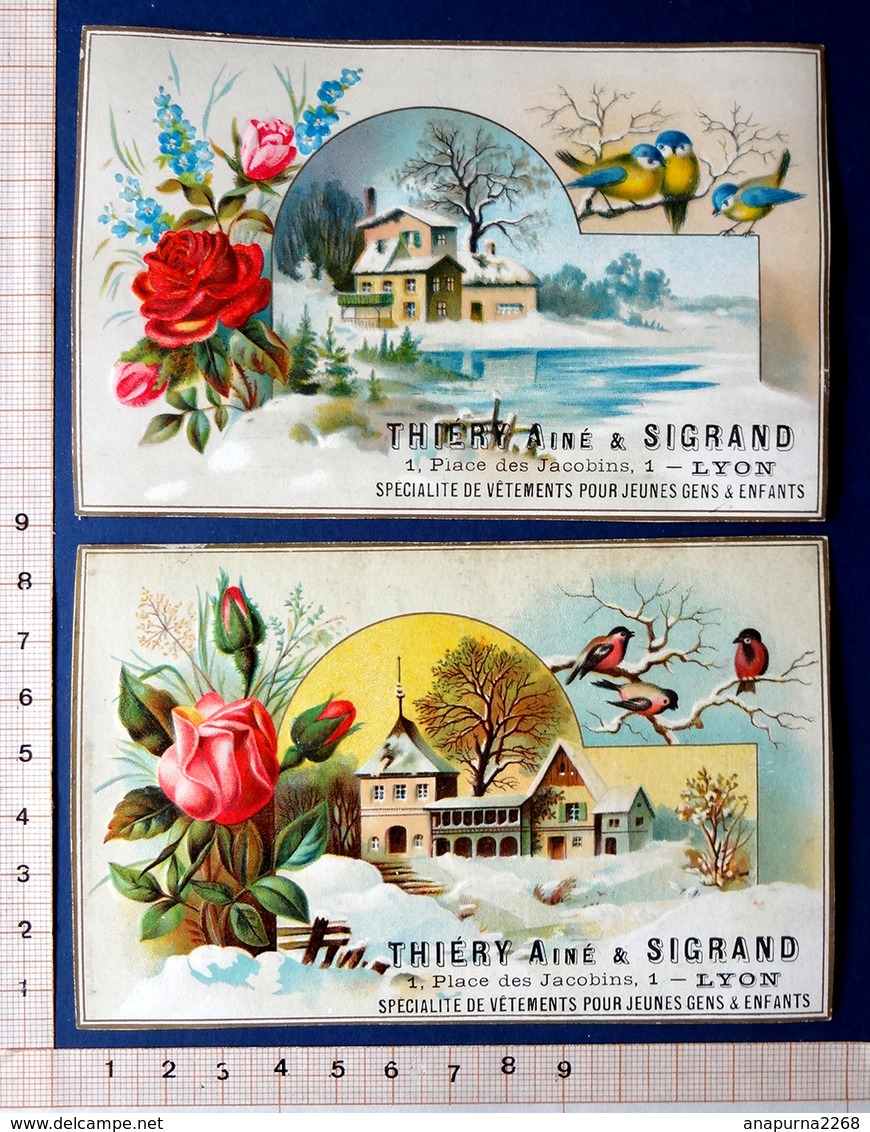 2 CHROMOS GAUFRES....8 / 13 Cm...LYON /THIERY ET SIGARD....PAYSAGE HIVERNAL AVEC OISEAUX ET FLEURS EN RELIEF - Autres & Non Classés