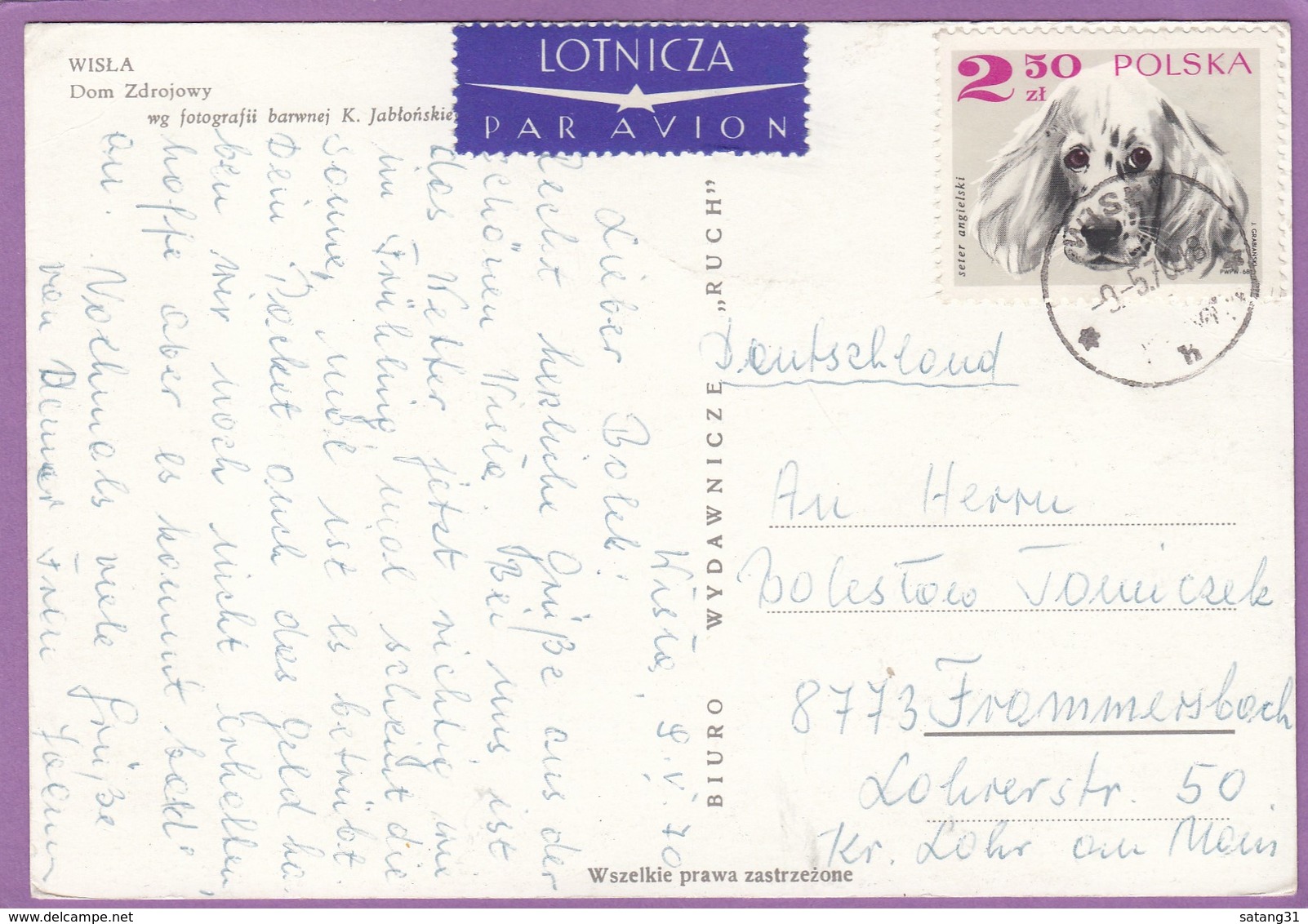 CARTE-POSTALE AVEC TIMBRE "SETTER ANGLAIS". - Chiens