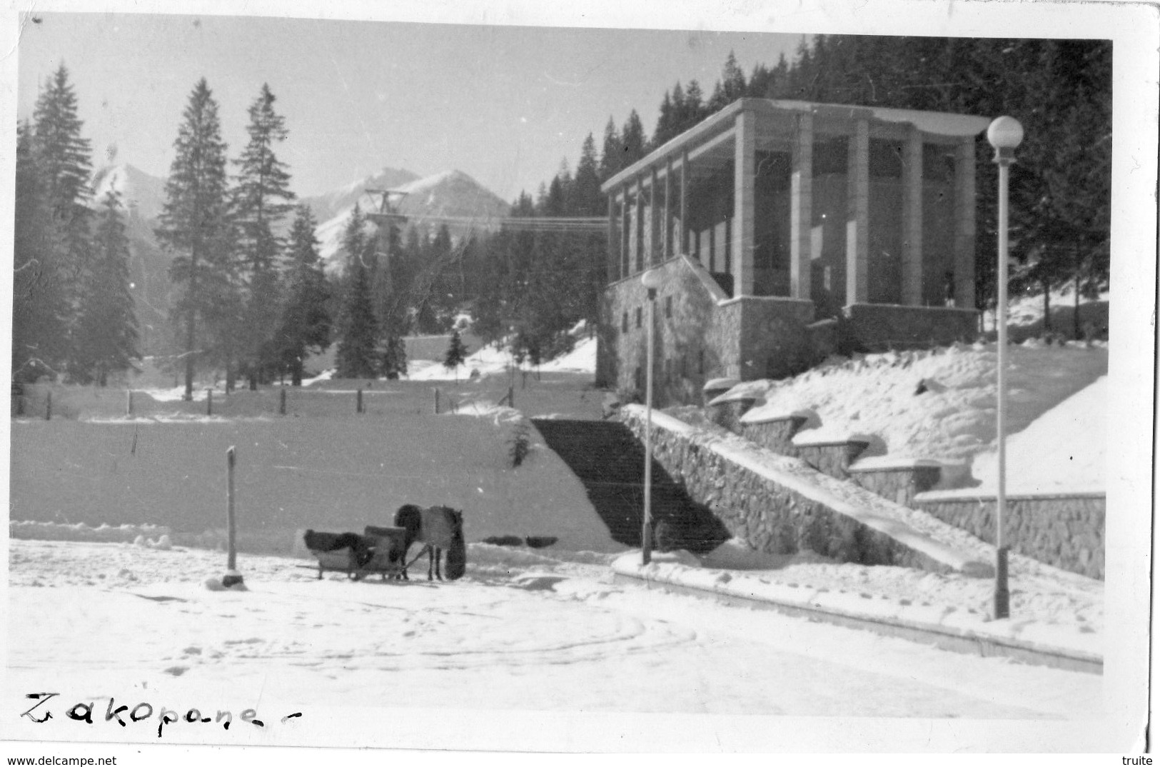 POLOGNE ZAKOPANE (CARTE PHOTO ) - Pologne