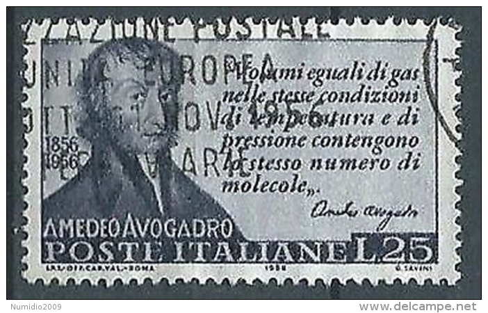 1956 ITALIA USATO AVOGADRO - ED13 - 1946-60: Gebraucht