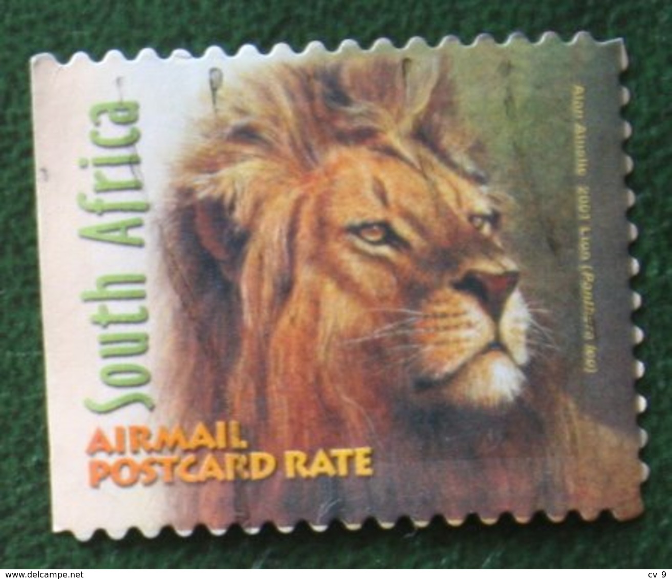 Leeuw Lion Leo Löwe Airmail Postcard Rate 2001 Mi 1339 Y&T - Used Gebruikt Oblitere SUD SOUTH AFRICA RSA - Gebraucht