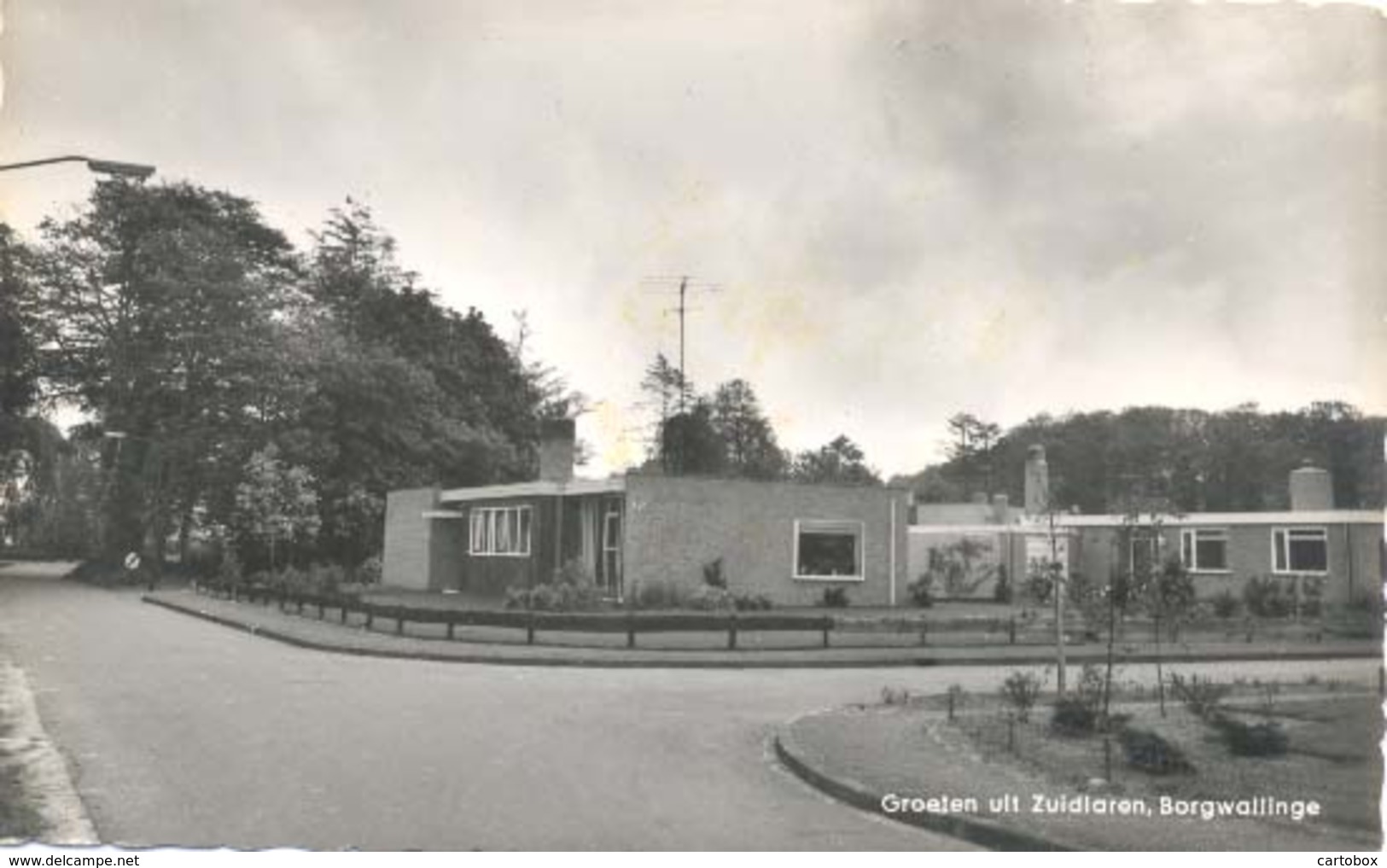 Zuidlaren, Groeten Uit Zuidlaren, Borgwallinge   (glansfotokaart) - Zuidlaren