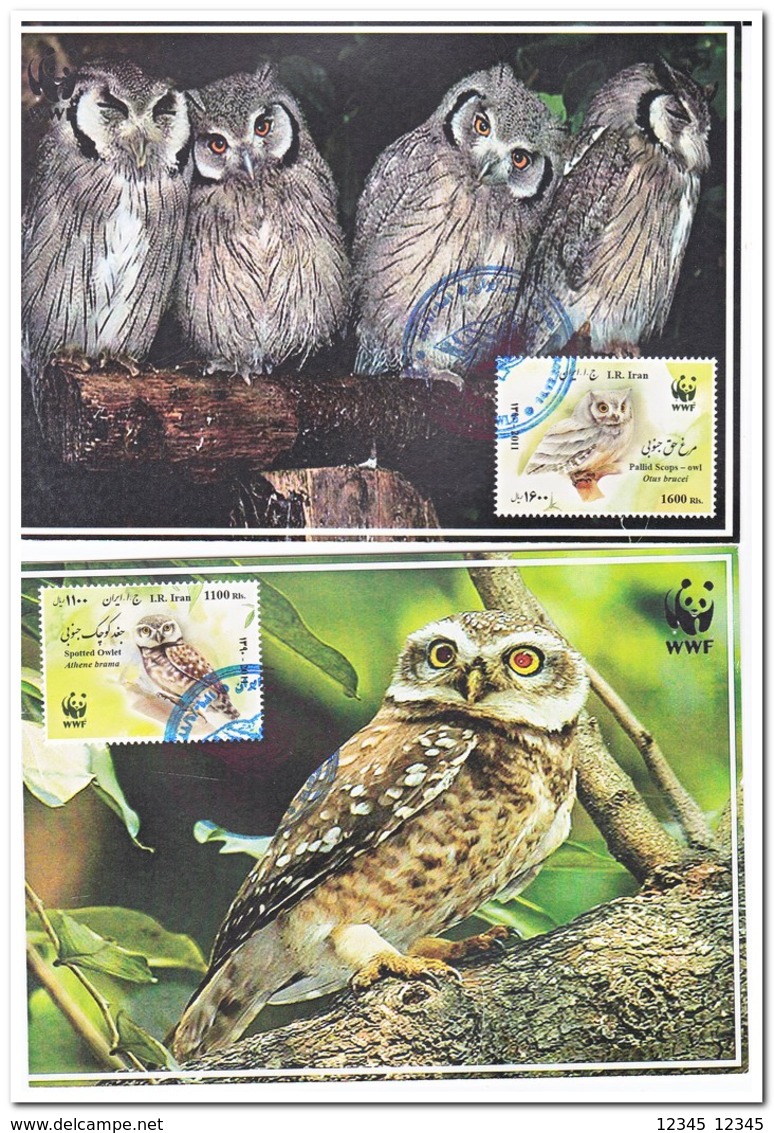 Iran 2011, Gestempeld USED, WWF, Owls - Maximumkarten