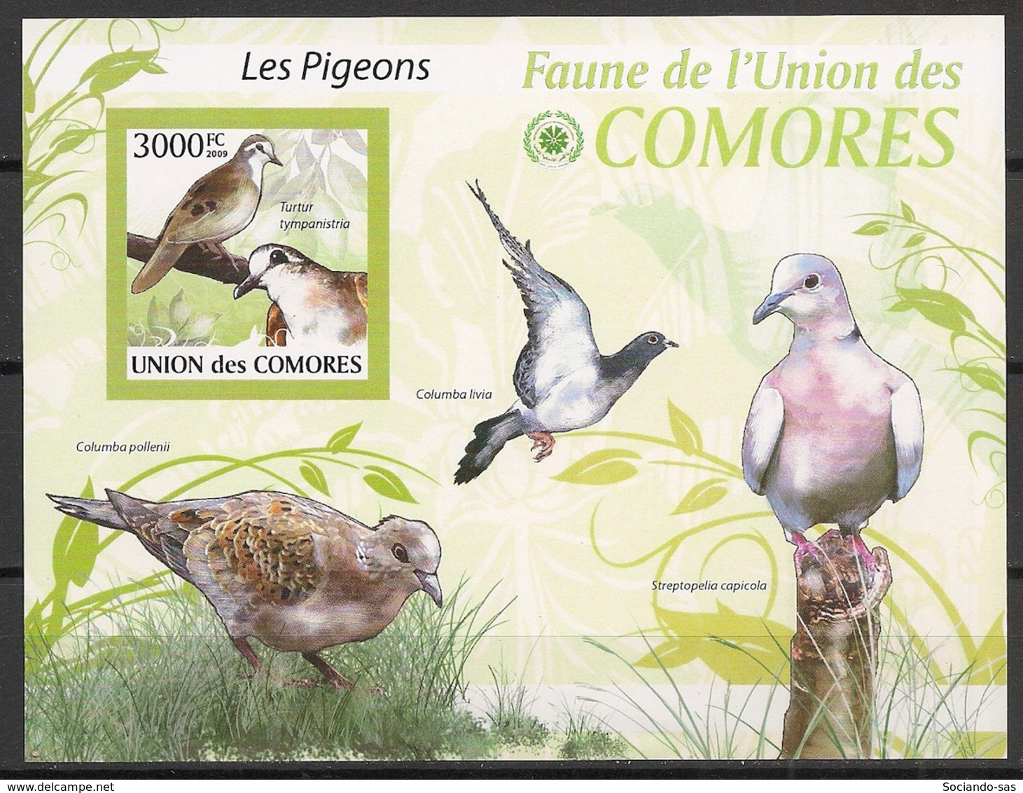 Comores - 2009 - Bloc BF N°Yv. 203 - Pigeons - Non Dentelé / Imperf. - Neuf Luxe ** / MNH / Postfrisch - Cote YT 21€ - Pigeons & Columbiformes