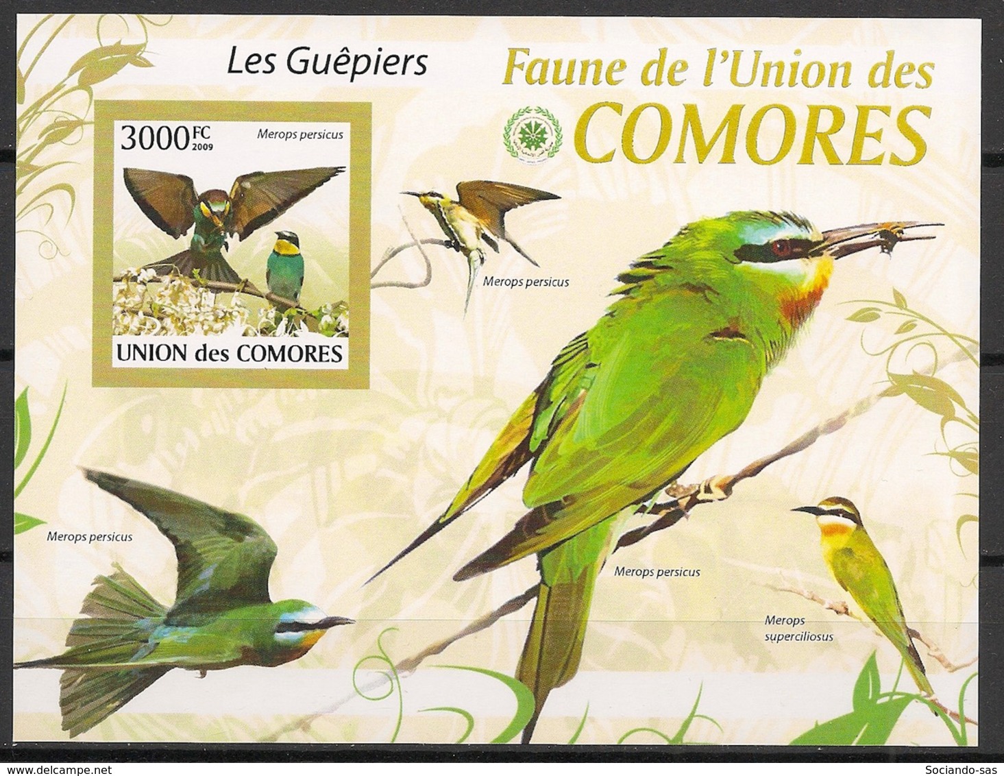 Comores - 2009 - Bloc BF N°Yv. 205 - Guépiers - Non Dentelé / Imperf. - Neuf Luxe ** / MNH / Postfrisch - Cote YT 21€ - Comoros