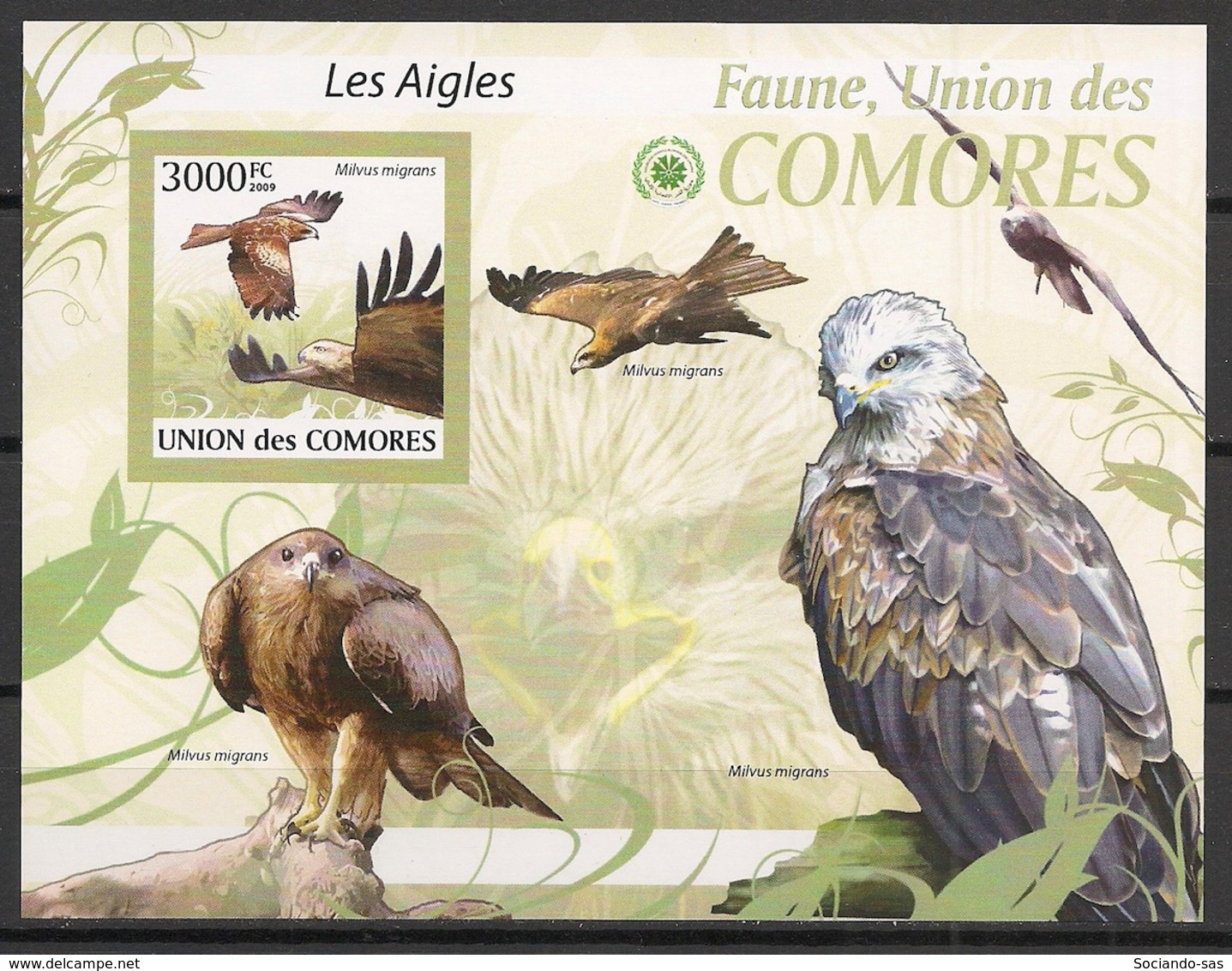 Comores - 2009 - Bloc BF N°Yv. 206 - Aigles - Non Dentelé / Imperf. - Neuf Luxe ** / MNH / Postfrisch - Cote YT 21€ - Eagles & Birds Of Prey